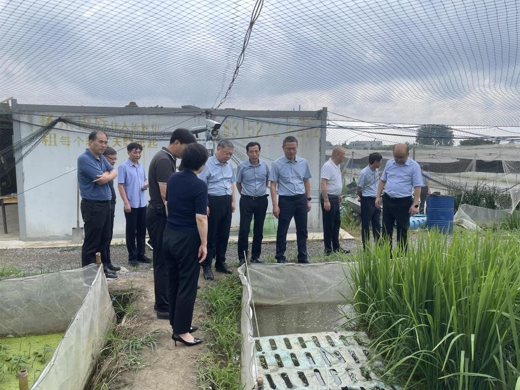 1698371891367537.jpg 4 (1).jpg